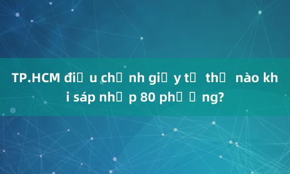 TP.HCM điều chỉnh giấy tờ thế nào khi sáp nhập 80 phường?