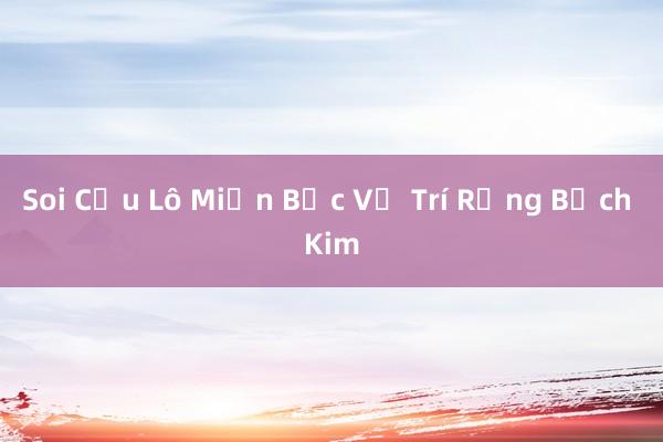 Soi Cầu Lô Miền Bắc Vị Trí Rồng Bạch Kim