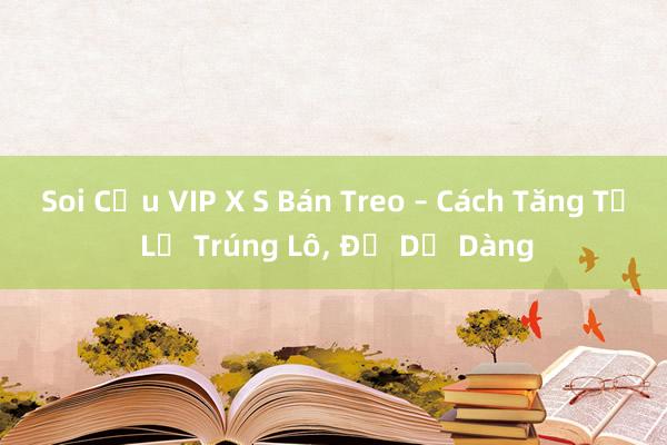 Soi Cầu VIP X S Bán Treo – Cách Tăng Tỷ Lệ Trúng Lô, Đề Dễ Dàng