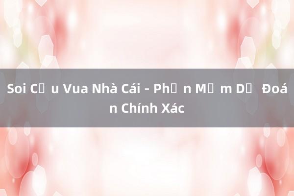 Soi Cầu Vua Nhà Cái - Phần Mềm Dự Đoán Chính Xác