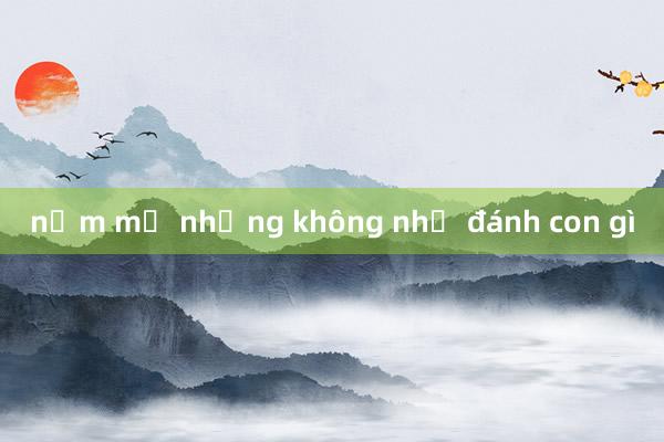 nằm mơ nhưng không nhớ đánh con gì