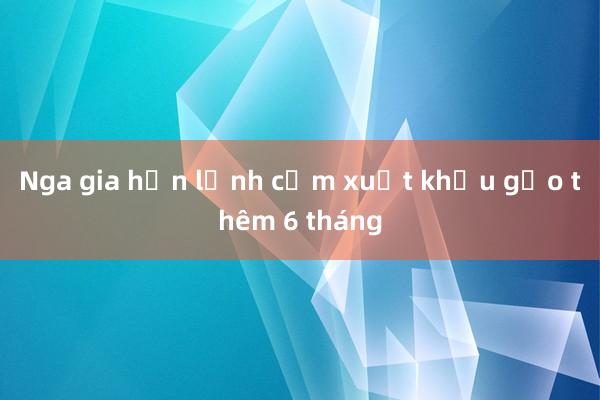 Nga gia hạn lệnh cấm xuất khẩu gạo thêm 6 tháng