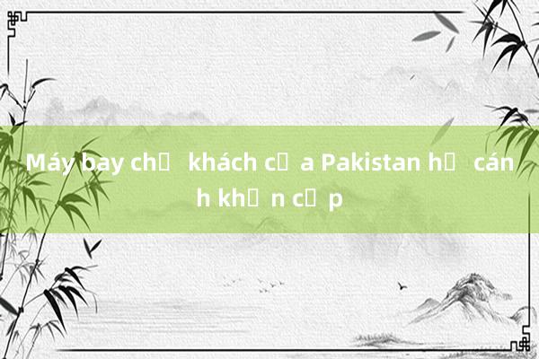 Máy bay chở khách của Pakistan hạ cánh khẩn cấp