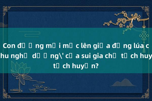 Con đường mới mọc lên giữa đồng lúa có 'khu nghỉ dưỡng' của sui gia chủ tịch huyện?