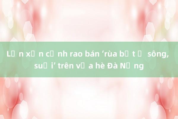 Lộn xộn cảnh rao bán ‘rùa bắt ở sông, suối’ trên vỉa hè Đà Nẵng