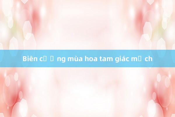 Biên cương mùa hoa tam giác mạch